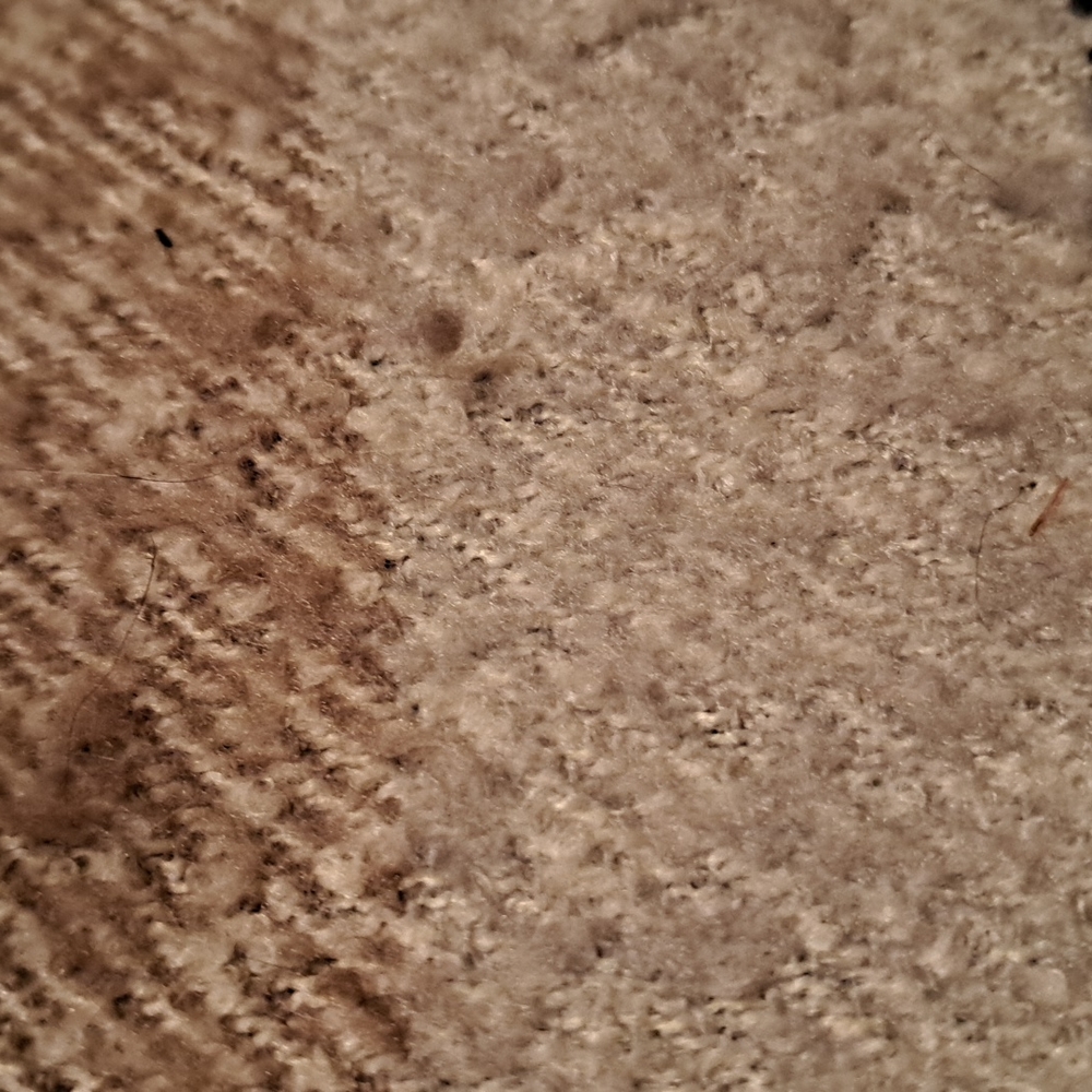 Multi Color Throw - Picture 2 of 2